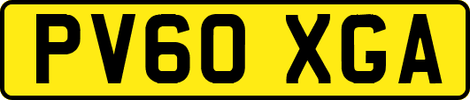 PV60XGA