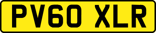 PV60XLR