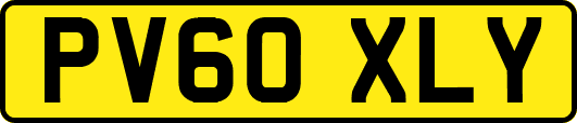 PV60XLY
