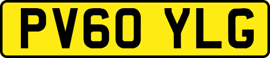 PV60YLG