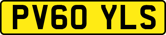 PV60YLS
