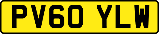 PV60YLW