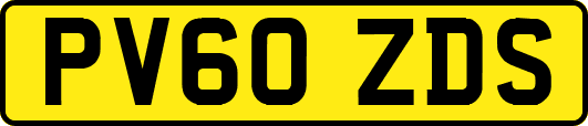 PV60ZDS