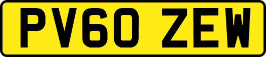 PV60ZEW