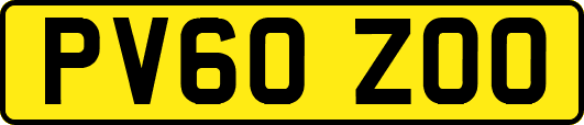 PV60ZOO