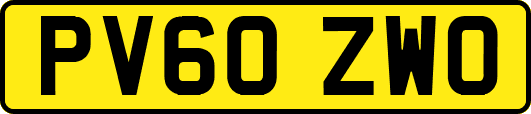 PV60ZWO