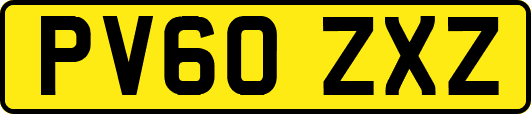 PV60ZXZ