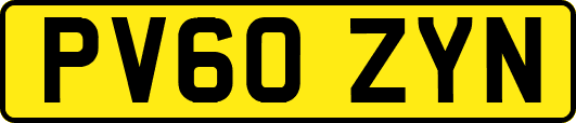 PV60ZYN