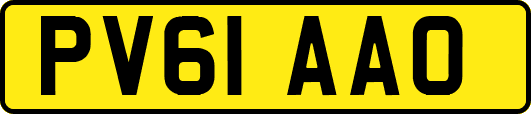PV61AAO