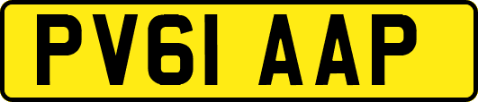 PV61AAP