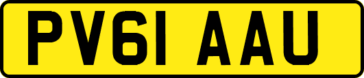 PV61AAU