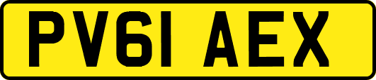 PV61AEX