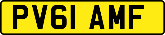 PV61AMF