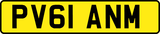 PV61ANM