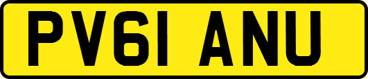 PV61ANU