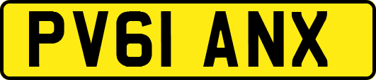 PV61ANX