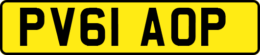 PV61AOP