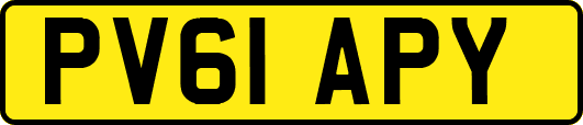 PV61APY