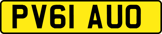 PV61AUO