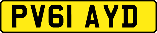PV61AYD