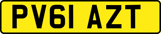 PV61AZT