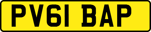 PV61BAP