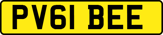 PV61BEE