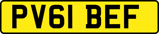 PV61BEF