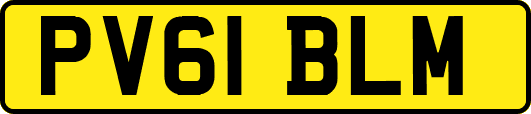 PV61BLM