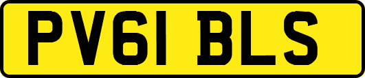 PV61BLS