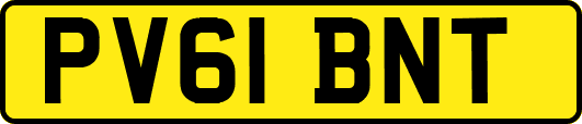 PV61BNT