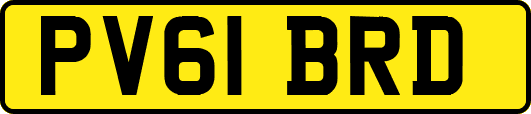 PV61BRD