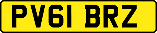 PV61BRZ