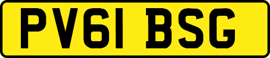 PV61BSG