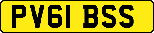 PV61BSS