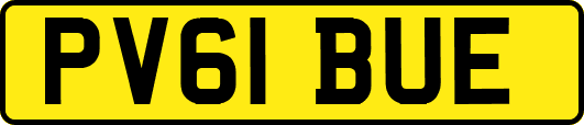 PV61BUE