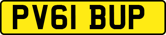PV61BUP
