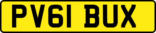 PV61BUX