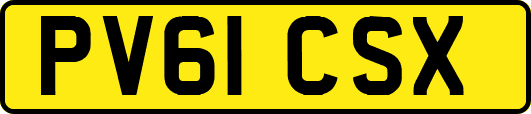 PV61CSX