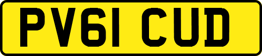 PV61CUD