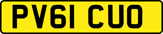 PV61CUO