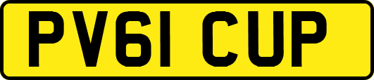 PV61CUP