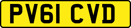 PV61CVD