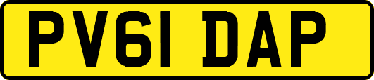 PV61DAP