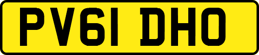 PV61DHO