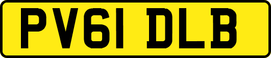 PV61DLB