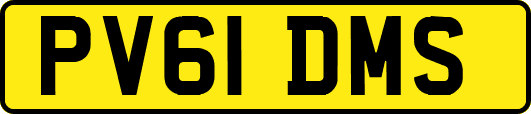 PV61DMS