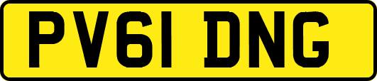PV61DNG