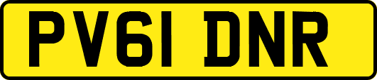 PV61DNR