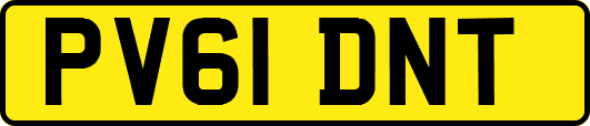PV61DNT